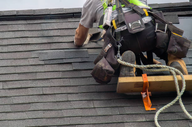 Best Roof Repair Services  in Tazewell, VA